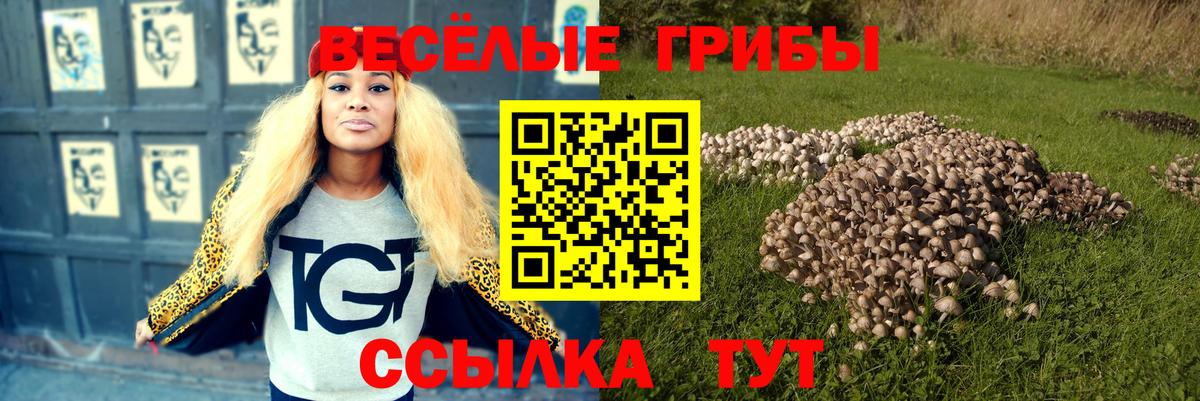 Тавда  где найти наркотики  Вход с VPN  Галлюциногенные грибы мухоморы 