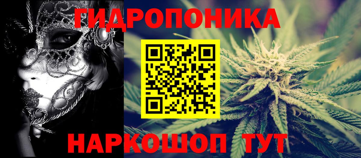 Бошки марихуана AK-47  Бошки марихуана Amnesia  Вход с VPN  Тавда  Канабис Bruce Banner 